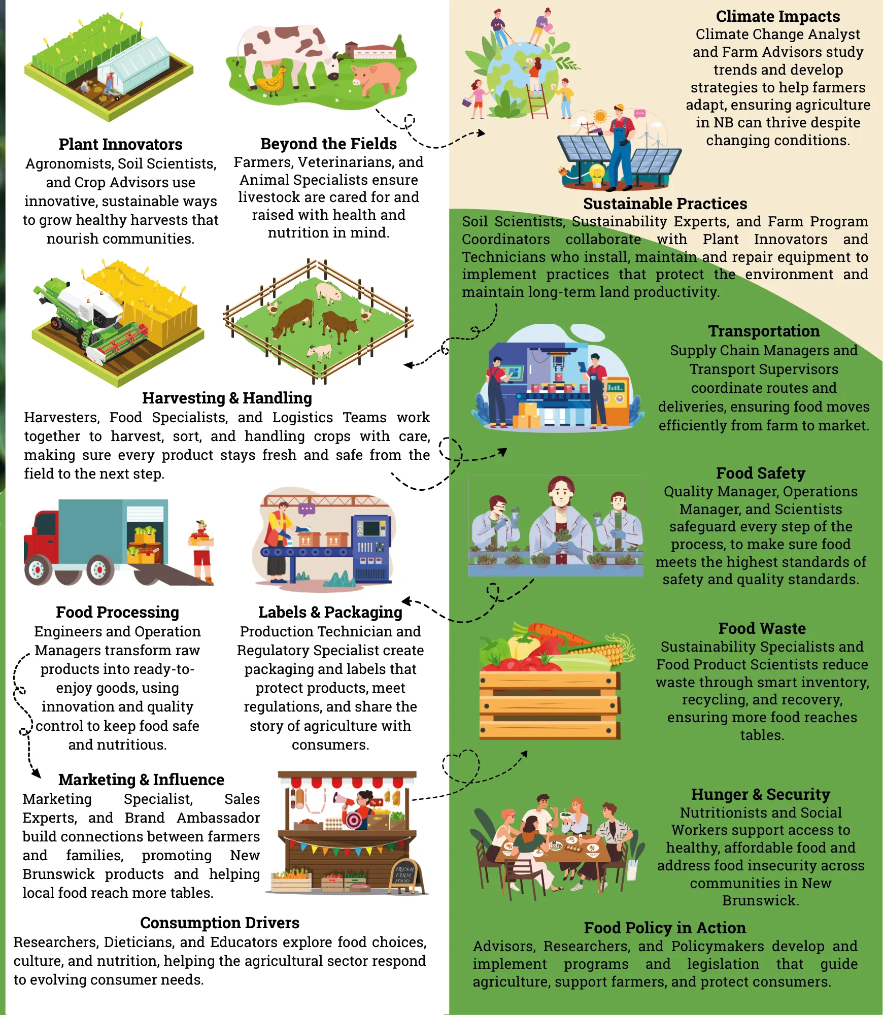 Field to Fork career pathway map illustrating fourteen interconnected agriculture career categories — from plant innovation and livestock care through processing, packaging, transportation, food safety, and food policy — each with example job roles.