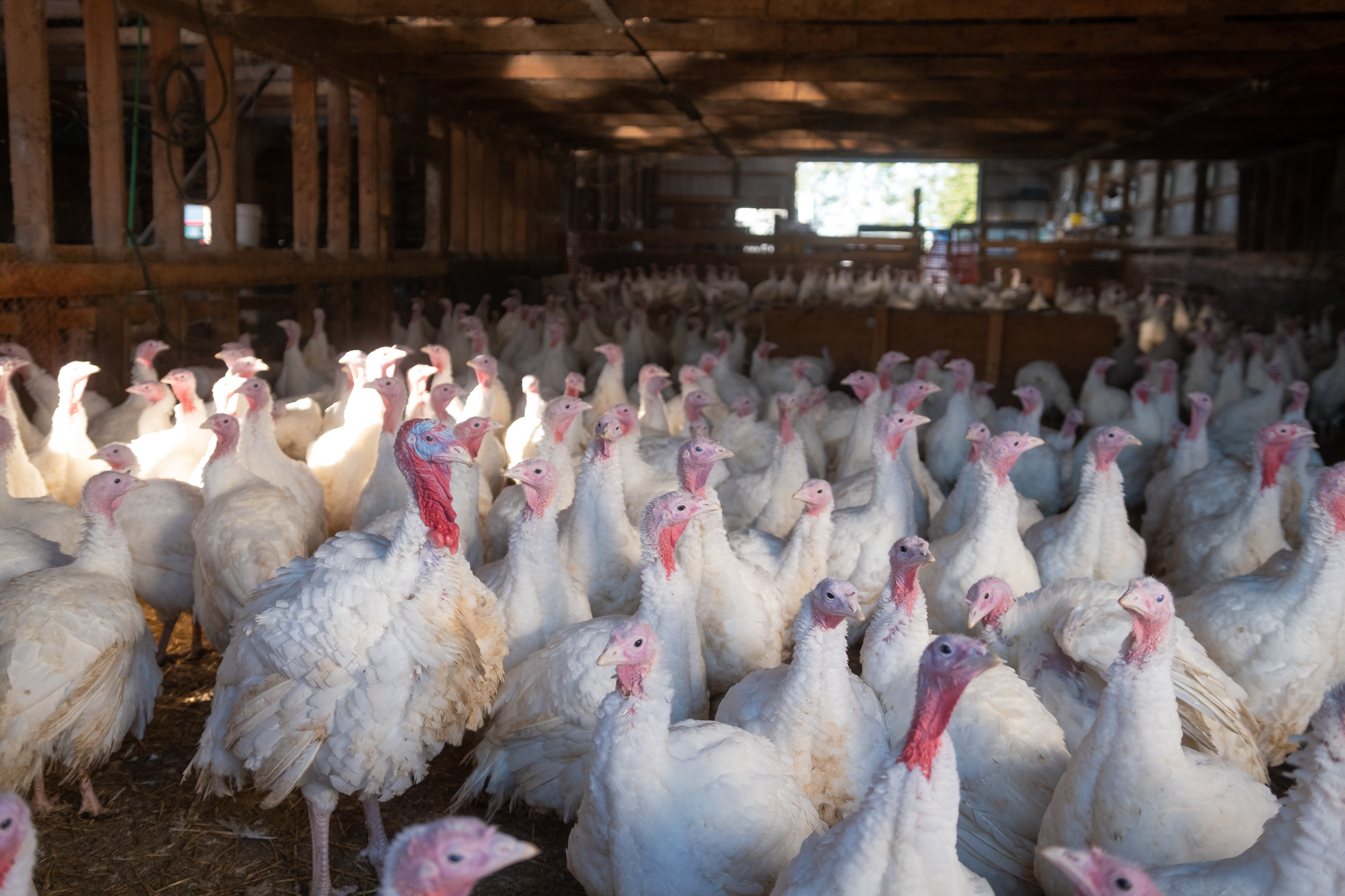 Shared workforce in action