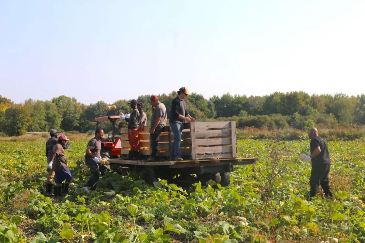 Shared Workforce Program Renewed and Expanded to Meet New Brunswick’s Agricultural Labor Needs