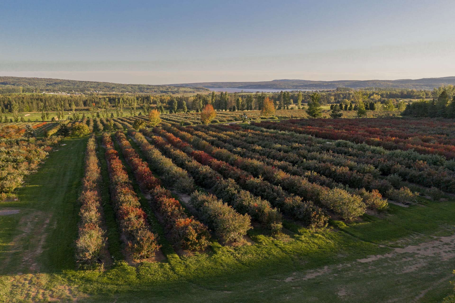 Shared Workforce Program - News