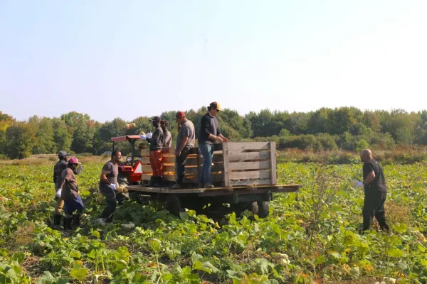 Shared Workforce Program Renewed and Expanded to Meet New Brunswick’s Agricultural Labor Needs